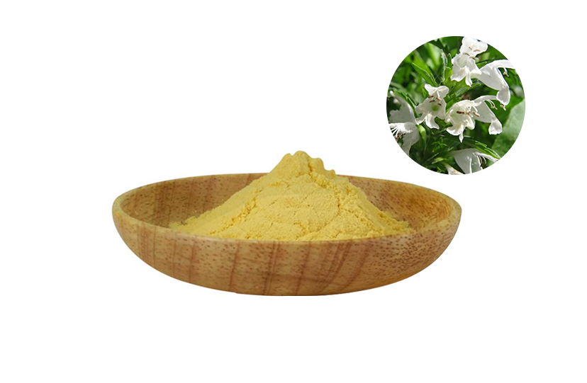 Sophora Japonica Flower Extract